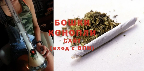 шишки Сафоново
