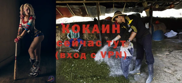 шишки Сафоново