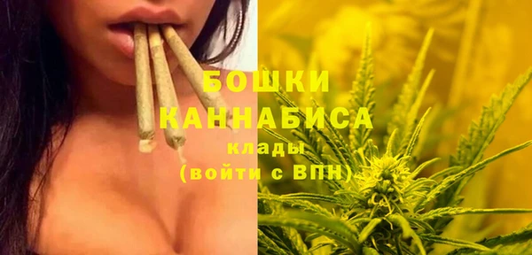 шишки Сафоново