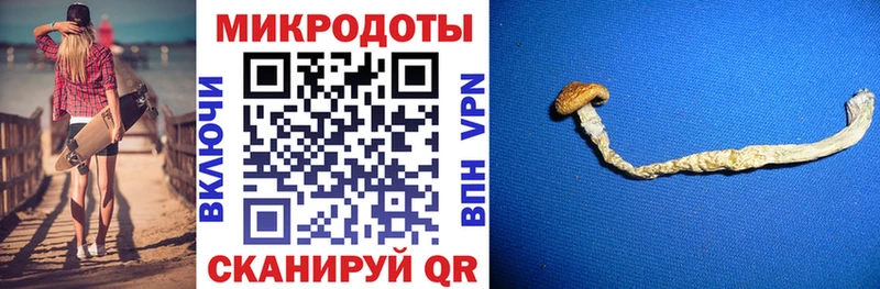Псилоцибиновые грибы Magic Shrooms  Купить где  Ардатов 